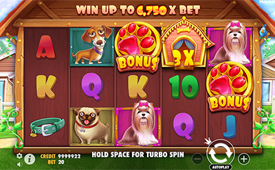 The Dog House Slot Bonus